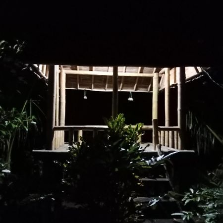 Bali Mountain Forest Cabin Penebel Eksteriør billede