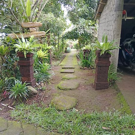 Bali Mountain Forest Cabin Penebel Eksteriør billede