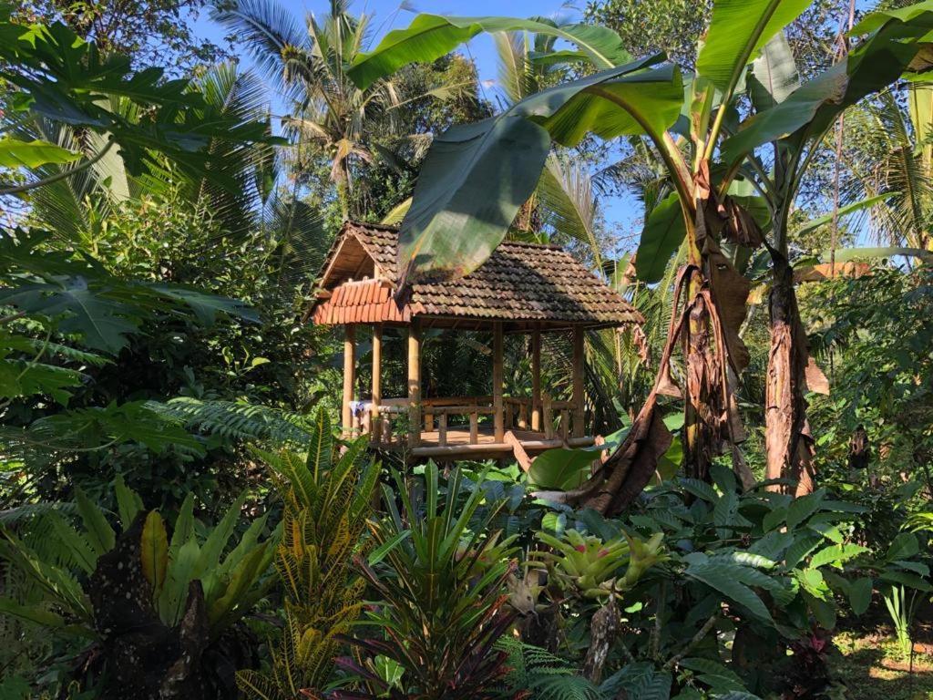 Bali Mountain Forest Cabin Penebel Eksteriør billede