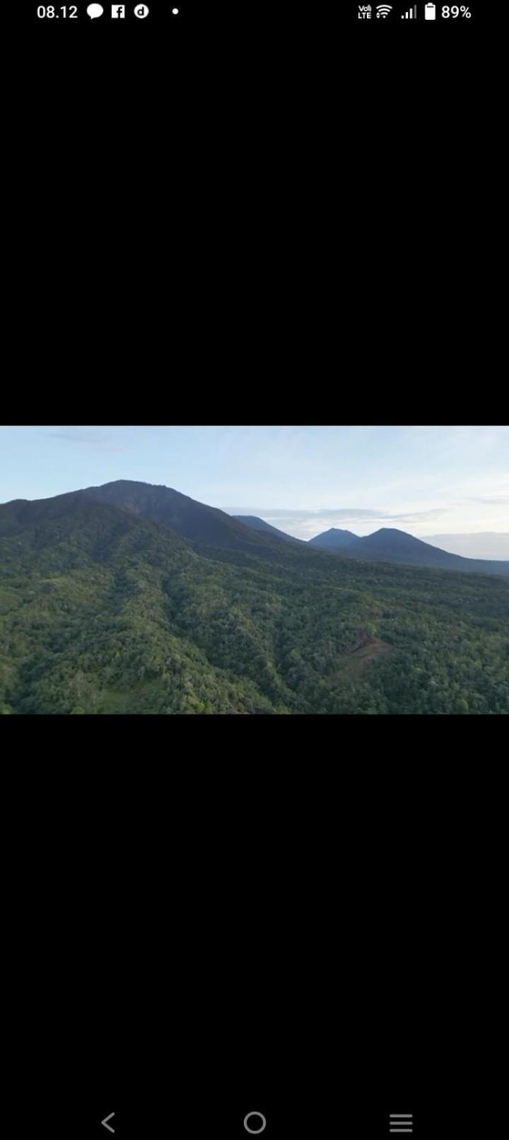 Bali Mountain Forest Cabin Penebel Eksteriør billede