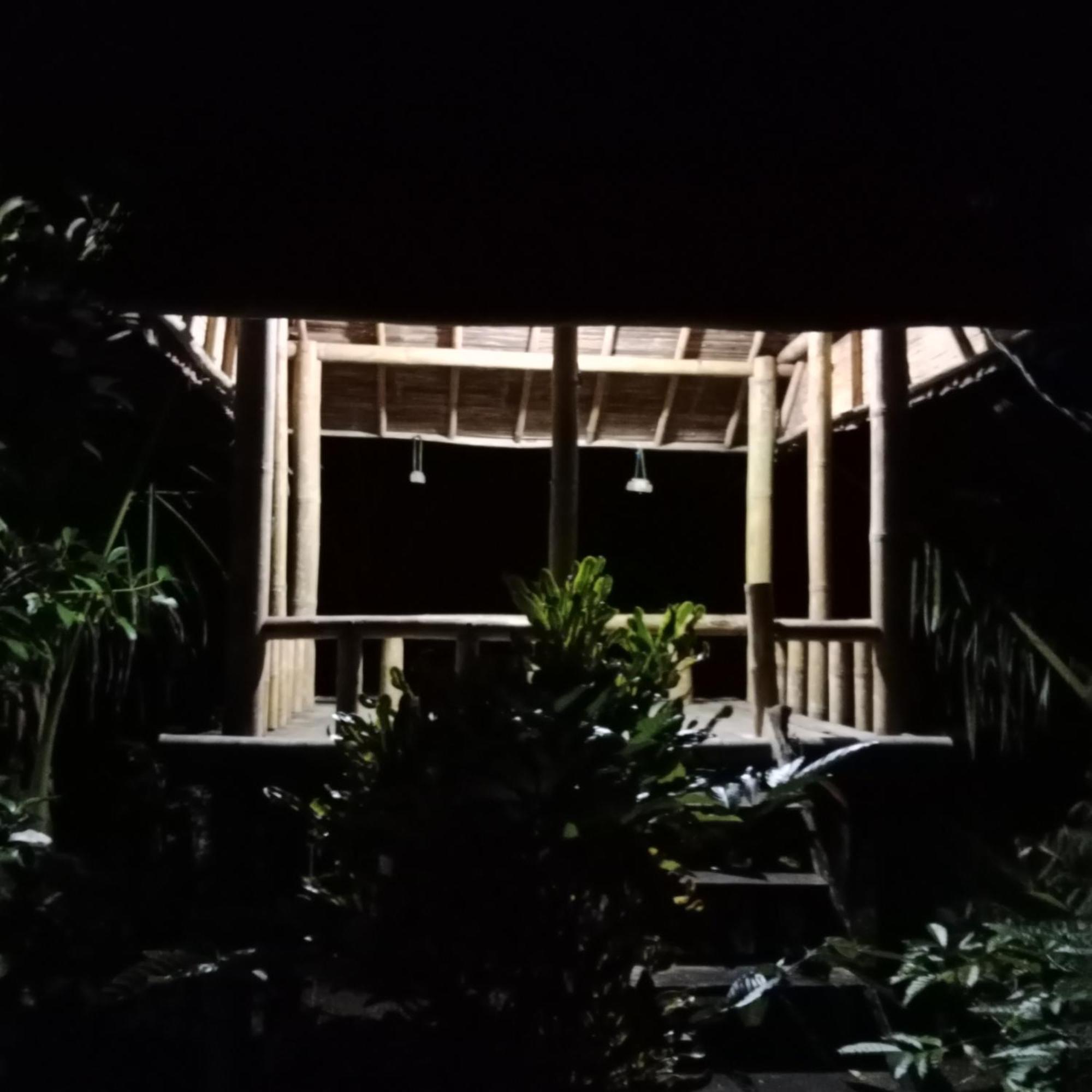 Bali Mountain Forest Cabin Penebel Eksteriør billede