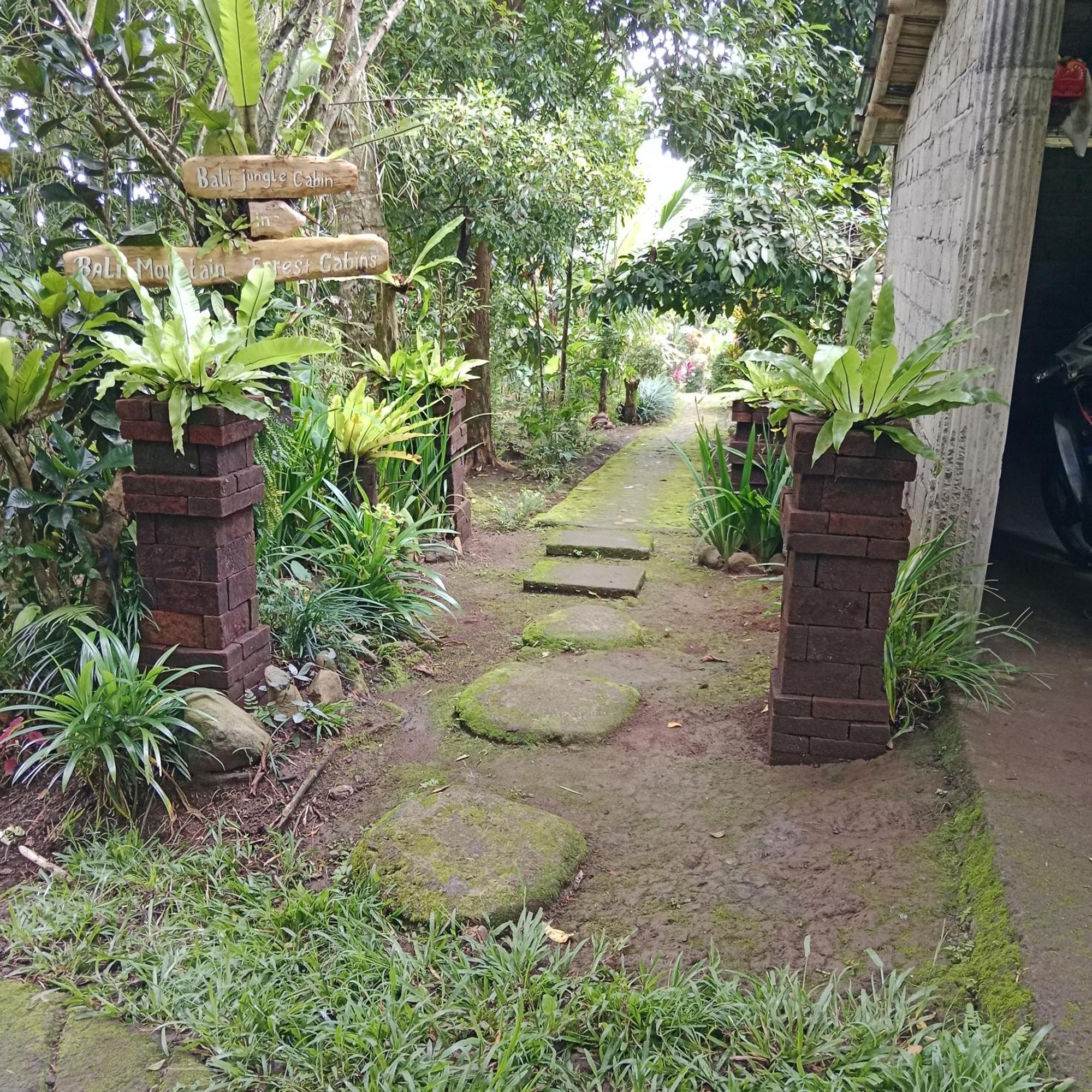 Bali Mountain Forest Cabin Penebel Værelse billede