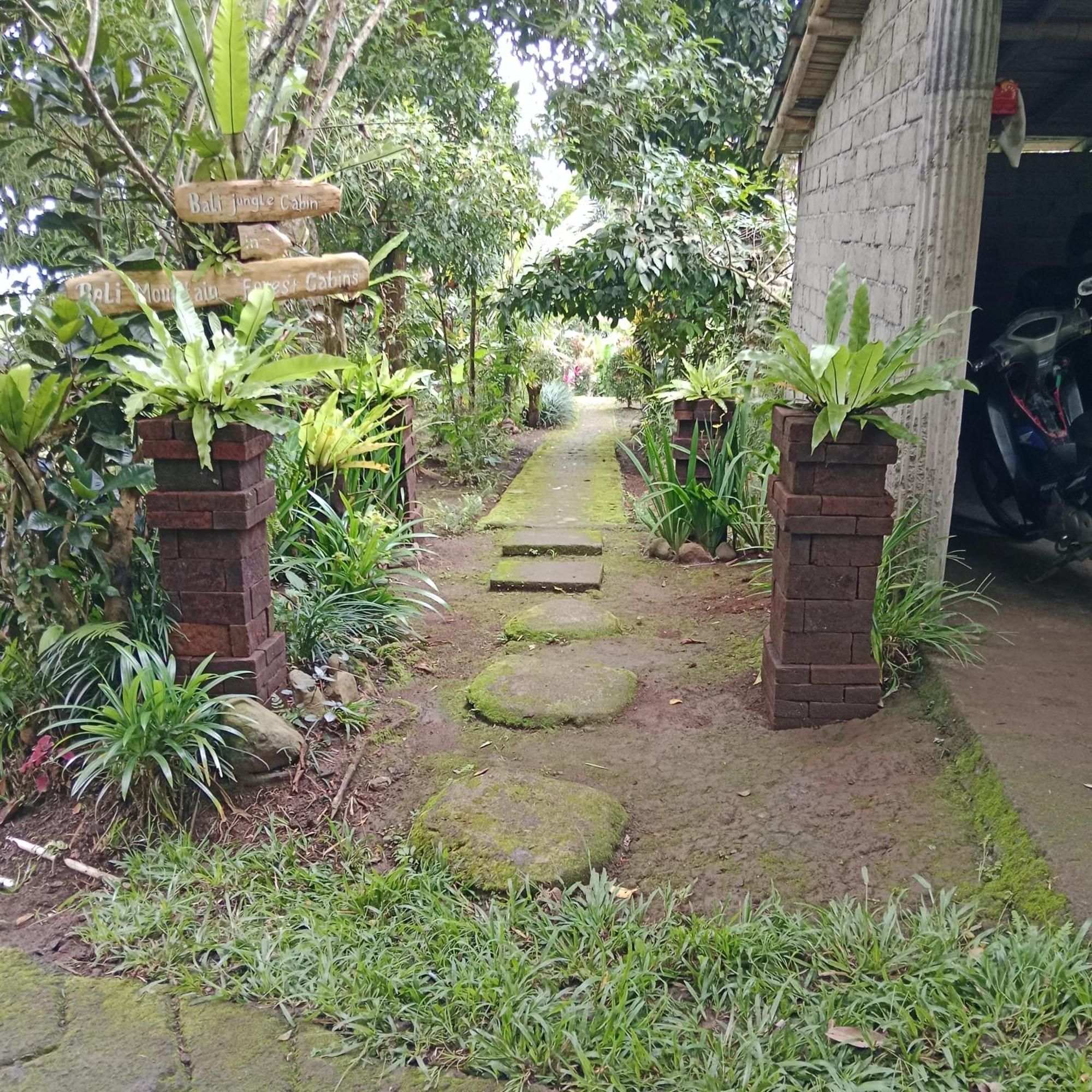 Bali Mountain Forest Cabin Penebel Eksteriør billede