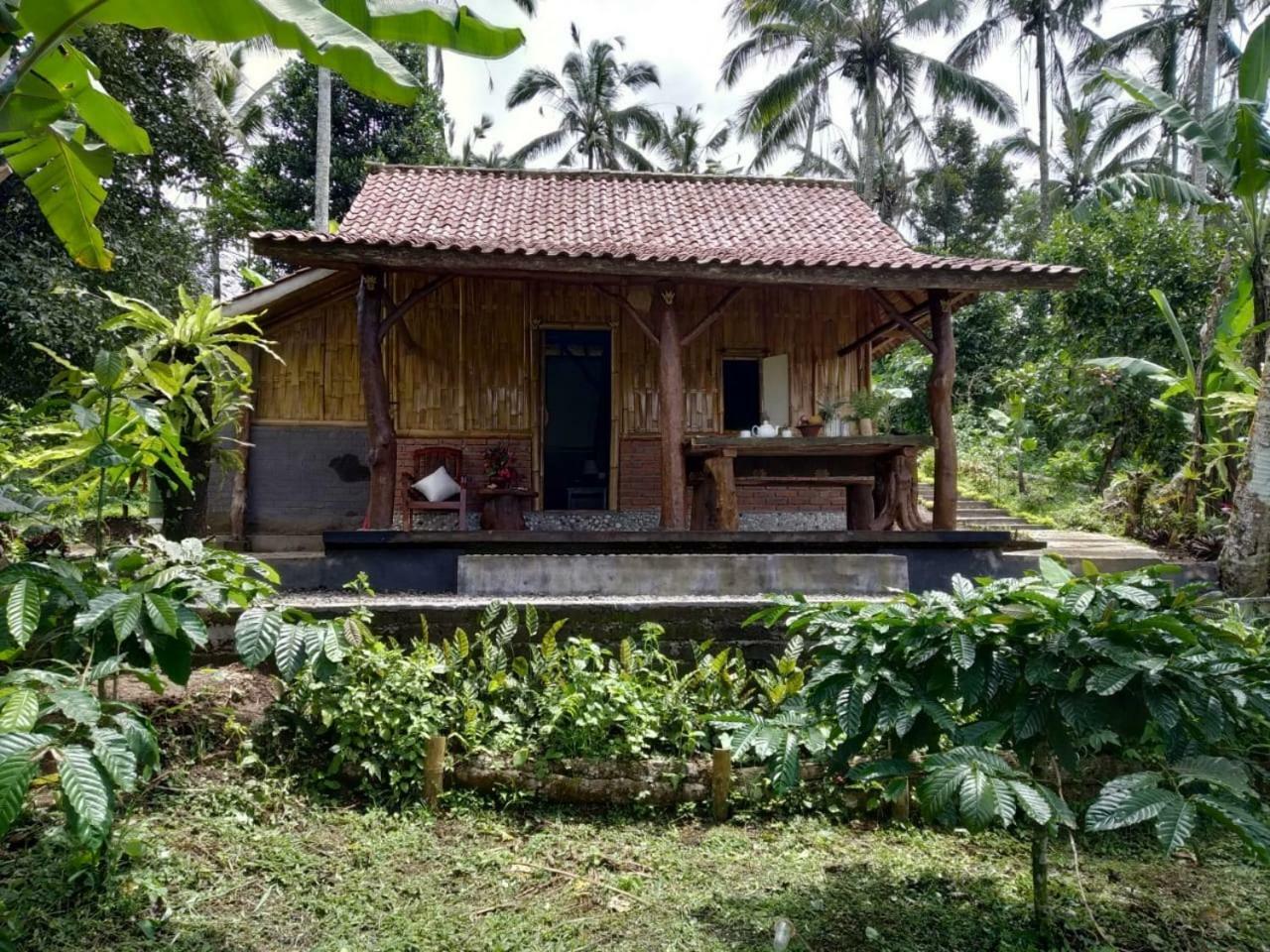 Bali Mountain Forest Cabin Penebel Eksteriør billede