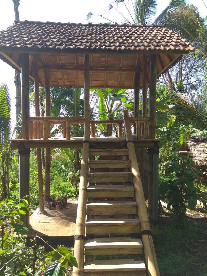 Bali Mountain Forest Cabin Penebel Værelse billede